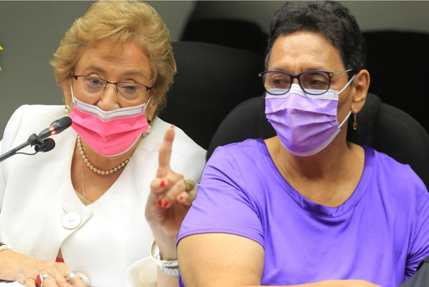 Oenegés afines a ARENA y FMLN habrían recibido $1.4 millones de fondos públicos oeneges-afines-a-arena-y-fmln-habrian-recibido-14-millones-de-fondos-publicos